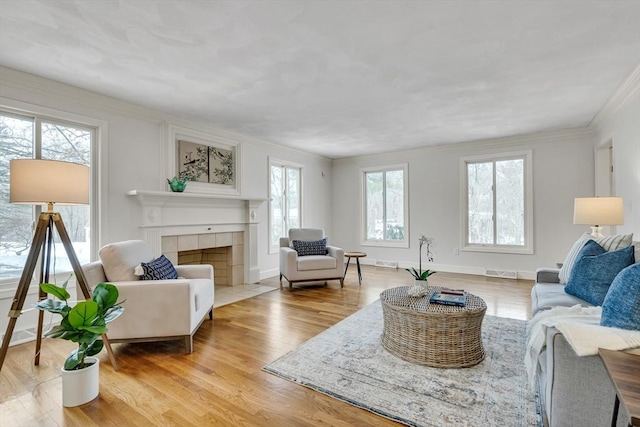 living room featuring a tiled fireplace, a healthy amount of sunlight, and light hardwood / wood-style floors