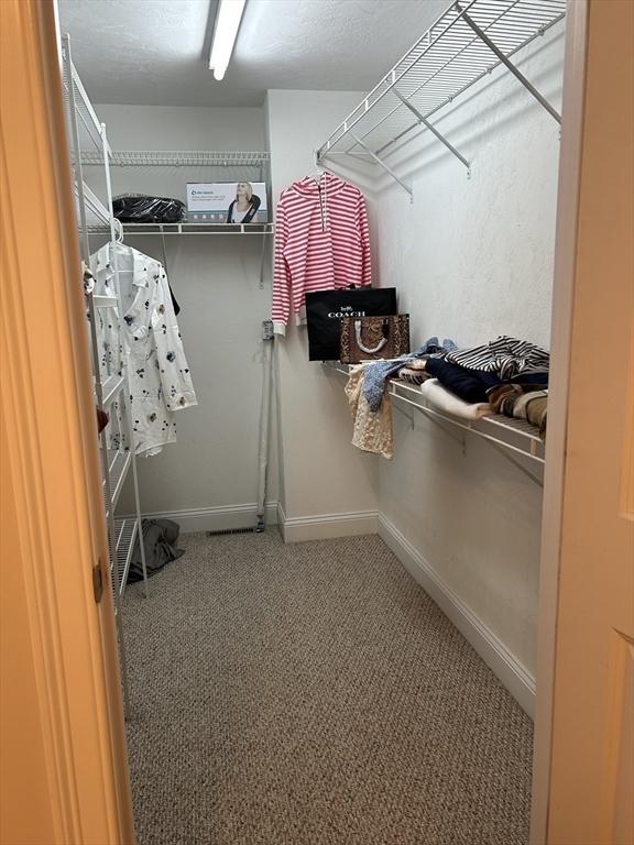 882 Brockton Ave Unit 10, Abington, MA 02351 - spacious closet with carpet flooring