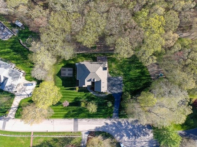 bird's eye view