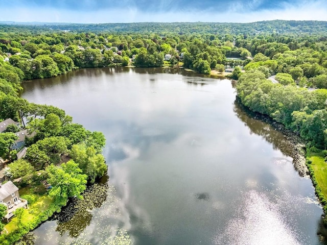 50 Lake St Unit B, Winchester, MA 01890 - bird's eye view of a heavily wooded area and a large body of water