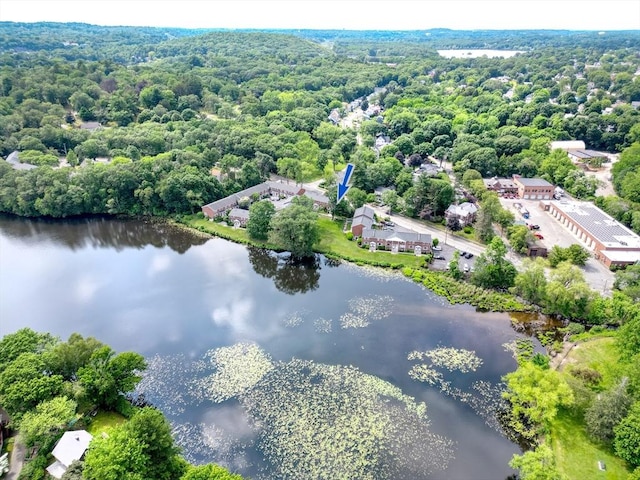 50 Lake St Unit B, Winchester, MA 01890 - bird's eye view of a large body of water and a heavily wooded area
