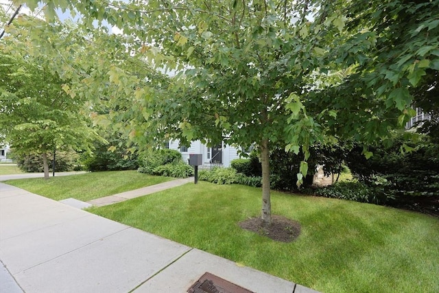 193 Main St, Medway, MA 02053 - obstructed view of property with a front lawn