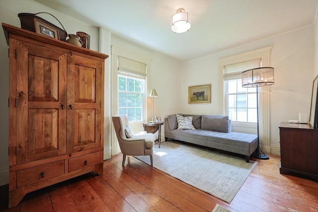 193 Main St, Medway, MA 02053 - living area featuring wood-type flooring