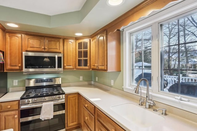 kitchen featuring a raised ceiling, sink, and stainless steel appliances