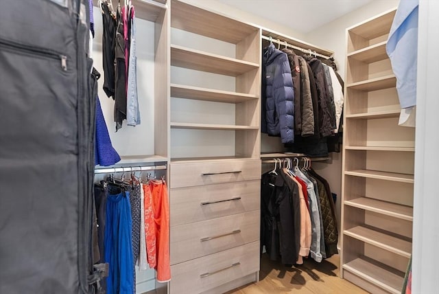 view of walk in closet