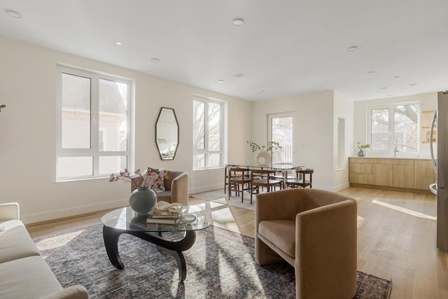 living room with light wood-type flooring