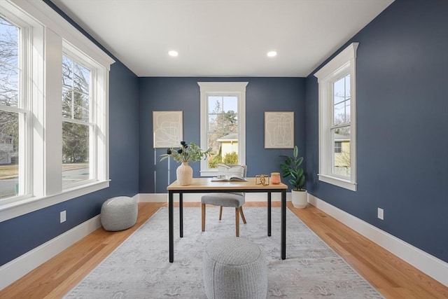 office featuring plenty of natural light and wood-type flooring