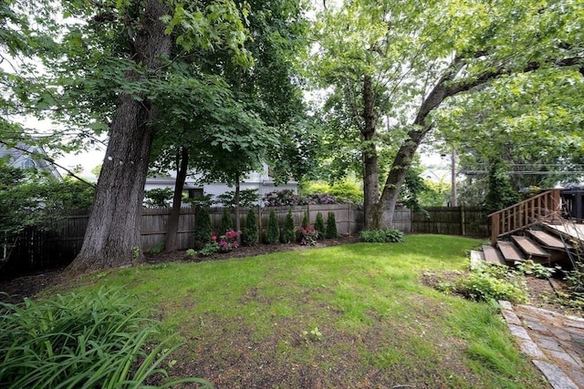 25 Day St, Newton, MA 02466 - view of yard featuring stairs