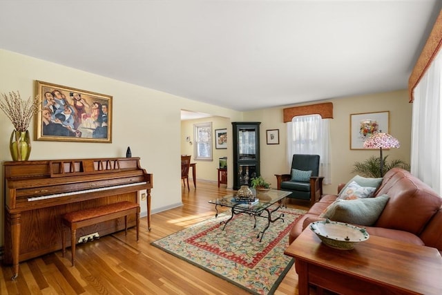 living room featuring light hardwood / wood-style flooring