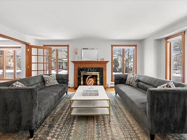 living area with dark wood-style flooring, a premium fireplace, a baseboard radiator, and a wealth of natural light