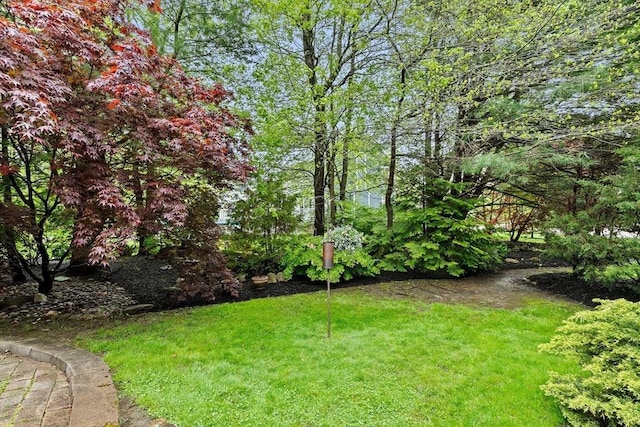 16 Old Colony Way, Whitman, MA 02382 - view of grassy yard
