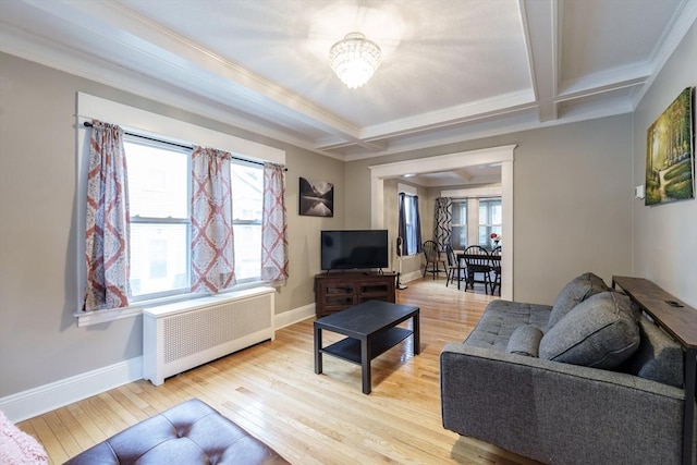 71 Daviston St, Springfield, MA 01108 - living room with radiator, light wood finished floors, healthy amount of natural light, coffered ceiling, and ornamental molding