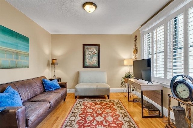 living room with a textured ceiling and light wood-type flooring