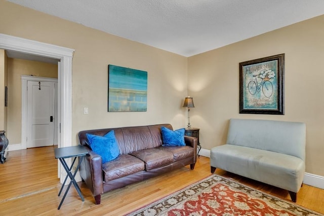 living room with hardwood / wood-style flooring