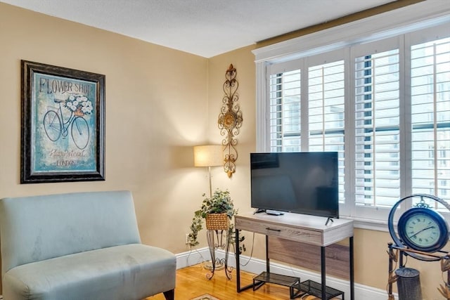 living area featuring hardwood / wood-style floors