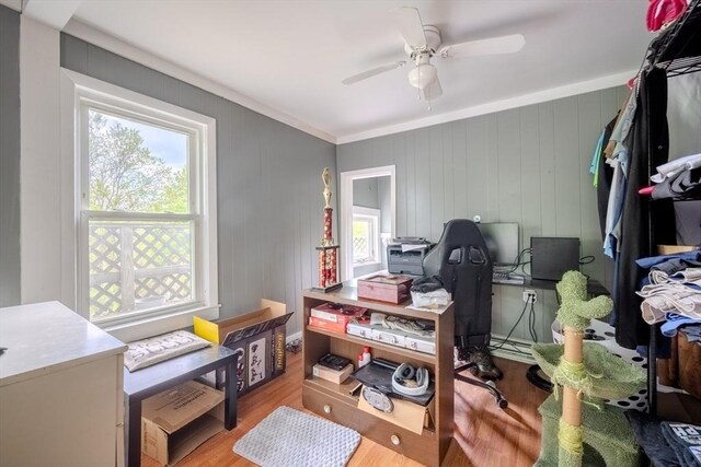 office space with wood finished floors and a ceiling fan