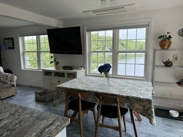 dining area with a healthy amount of sunlight