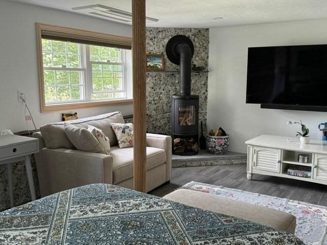 living room featuring a wood stove and dark hardwood / wood-style floors