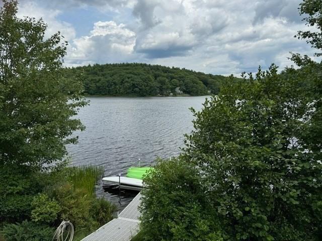 water view with a dock