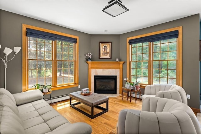 294 Cardinal Way, Northampton, MA 01062 - living area featuring baseboard heating, light wood-style flooring, and a fireplace