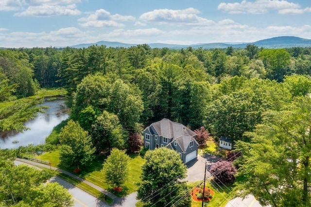 294 Cardinal Way, Northampton, MA 01062 - aerial view of property and surrounding area with a forest