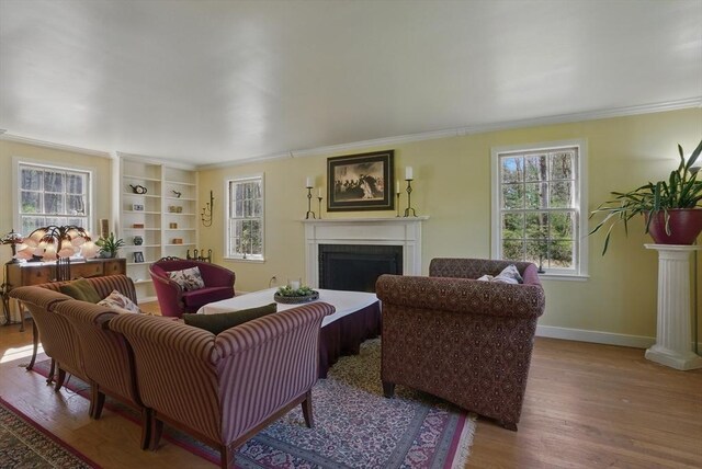 128 Lovell Rd, Holden, MA 01520 - living room with a fireplace, ornamental molding, healthy amount of natural light, wood finished floors, and baseboards