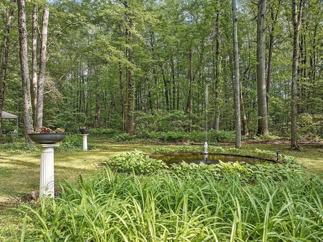 128 Lovell Rd, Holden, MA 01520 - view of yard featuring a view of trees