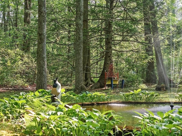 128 Lovell Rd, Holden, MA 01520 - view of wooded area
