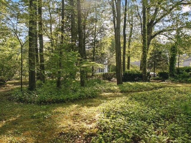 128 Lovell Rd, Holden, MA 01520 - view of yard
