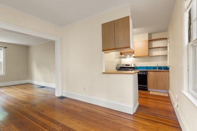kitchen with dark wood-style floors, a sink, range, open shelves, and healthy amount of natural light