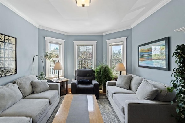 living area featuring crown molding and wood finished floors