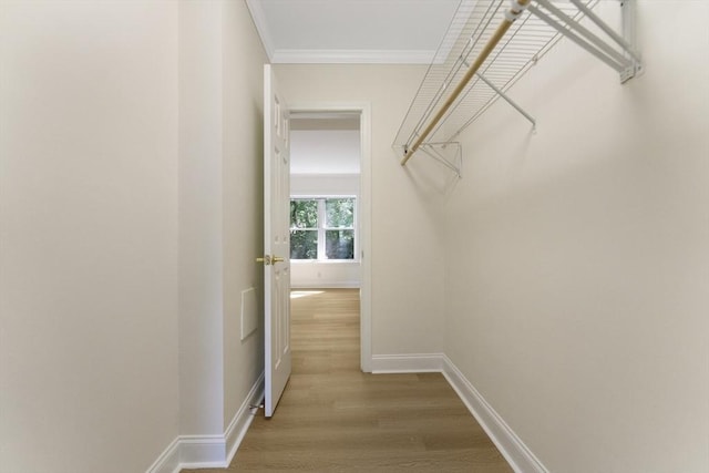 188 Newton Unit 6, Boston, MA 02135 - walk in closet with wood finished floors