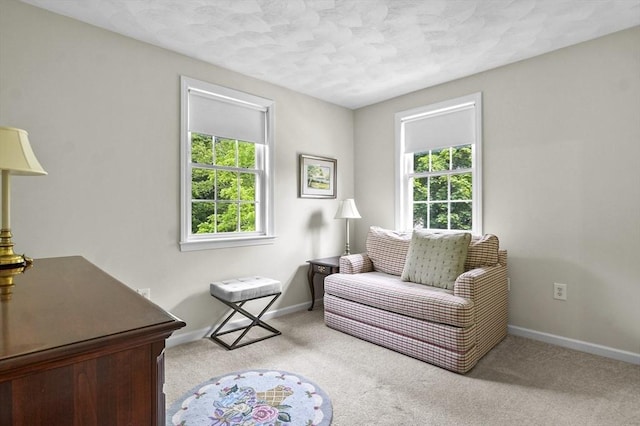 155 Burlington St, Woburn, MA 01801 - sitting room with healthy amount of natural light, baseboards, and carpet flooring