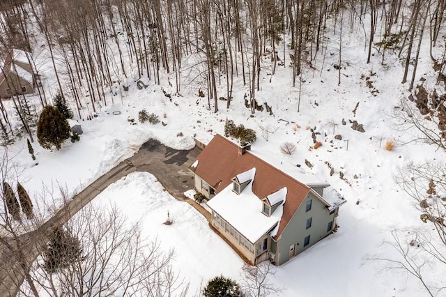 view of snowy aerial view