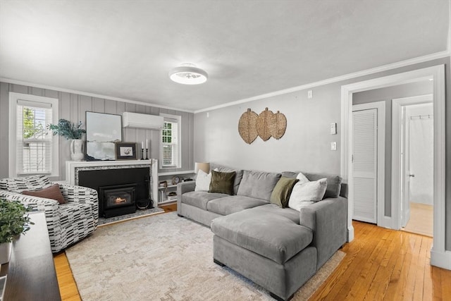31 Webster St, Randolph, MA 02368 - living area featuring ornamental molding, light wood-type flooring, and healthy amount of natural light