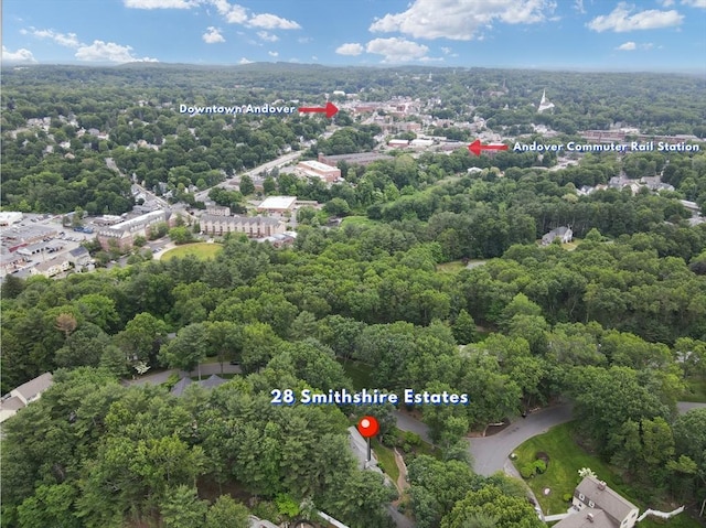 28 Smithshire Ests, Andover, MA 01810 - aerial view of property's location with a forest