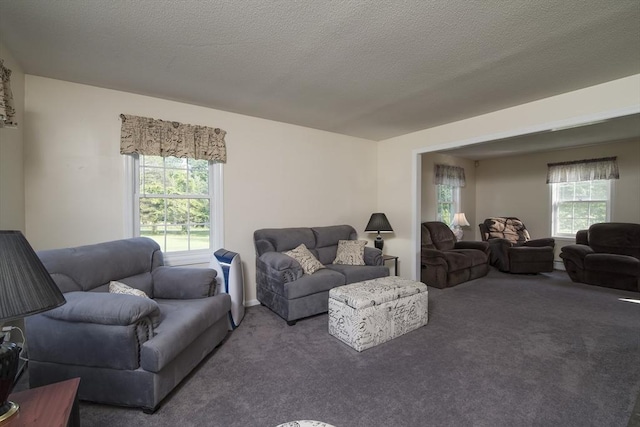 769 Federal St, Belchertown, MA 01007 - living room featuring carpet floors