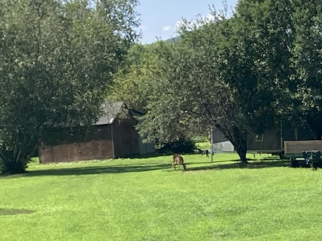 769 Federal St, Belchertown, MA 01007 - view of community featuring a lawn