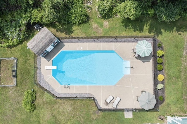 2 Harding Rd, Medway, MA 02053 - community pool with a diving board