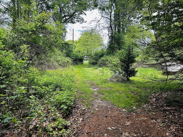 16 Stoneledge Rd, Dartmouth, MA 02748 - view of wooded area