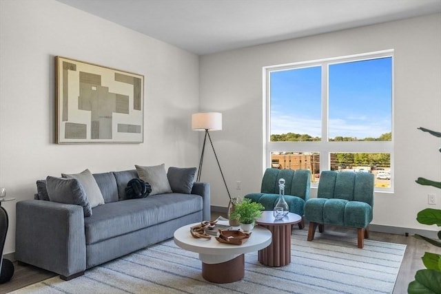 living room with hardwood / wood-style flooring