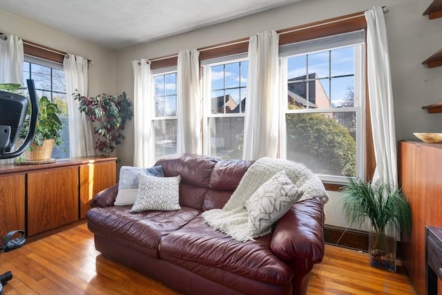 sitting room featuring light hardwood / wood-style flooring