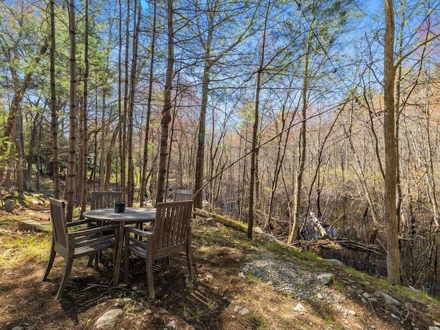 view of yard with outdoor dining space