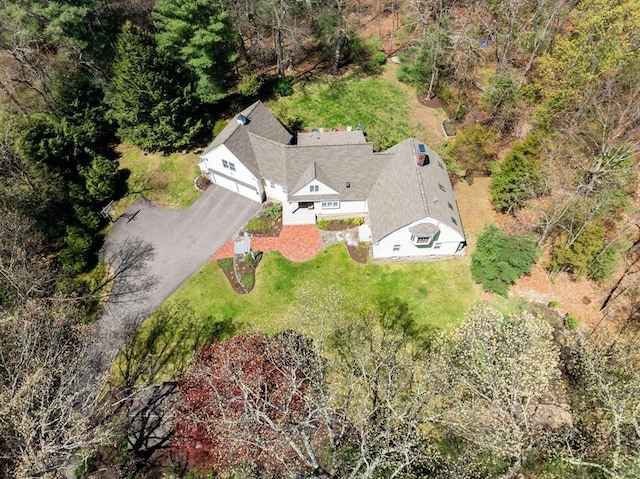 drone / aerial view