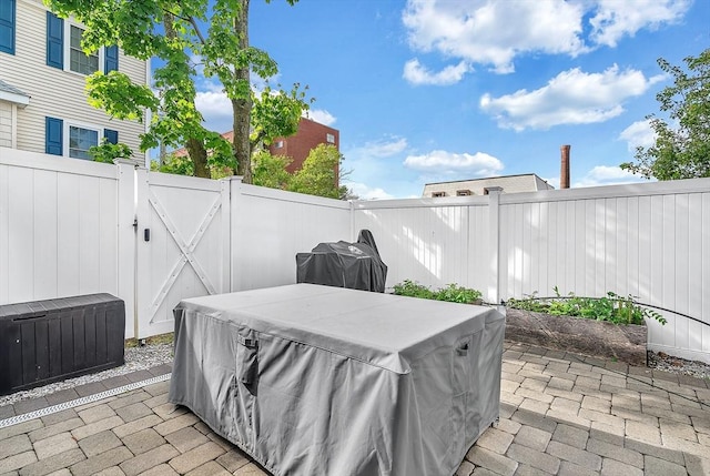 3 Lowell St Unit 1, Waltham, MA 02453 - fenced backyard with a jacuzzi, a patio, and a gate
