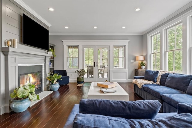 14 Reiling Pond Rd, Lincoln, MA 01773 - living room with french doors, dark wood-type flooring, a glass covered fireplace, ornamental molding, and recessed lighting