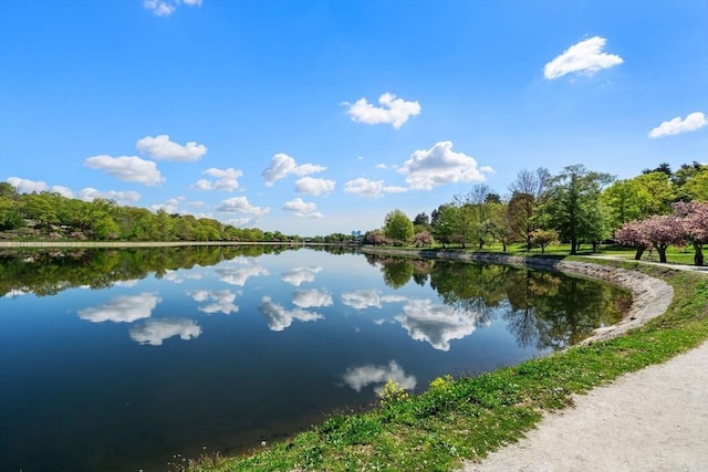 property view of water