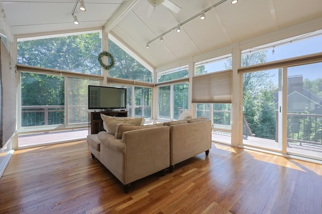 5 Windsor Rd, Lynnfield, MA 01940 - sunroom with track lighting, hardwood / wood-style flooring, a deck, and expansive windows