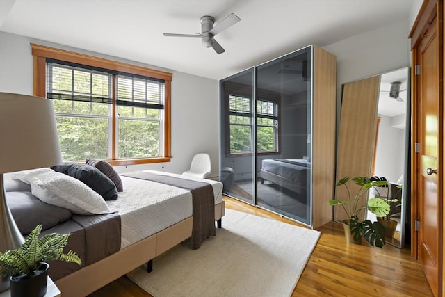 432 Norfolk St Unit 3B, Somerville, MA 02143 - bedroom featuring multiple windows, light wood-style floors, and a ceiling fan