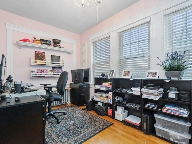 office space with wood-type flooring and plenty of natural light